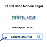 Lowongan Kerja PT BPR Dana Mandiri Bogor Cabang Cianjur